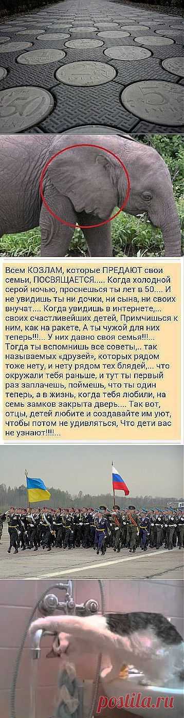 (57) Одноклассники