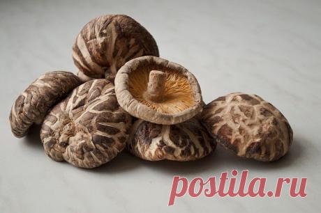 В Японии шесть деликатесных грибов проданы за рекордную цену в более $1,5 тысяч | В мире