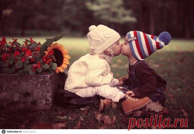 Клуб любителей кошек!
Светлана Высоцкая