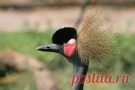 Василий Тимошин vasiliy-timoshin - Москва, Россия, 61 год на Мой Мир@Mail.ru