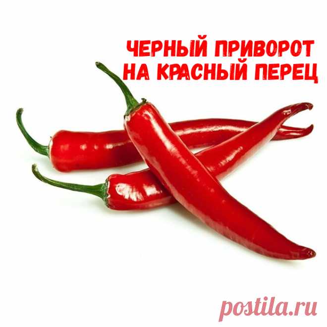Черный приворот на красный перец. Присуху будем делать на красный острый перец. Этот способ проверен на практике и, уверяю вас, дает отличный результат. Хотя по исполнению очень простой, не нужно ходить по кладбищам или церквям, не нужно приносить жертвы. Тут сила приворота будет за счет природной силы стихии жизни, которая особенно крепко и мощно проявляется в таких афродизиаках, как острый перец.