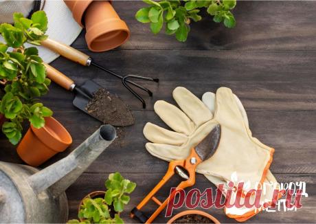 Работа в огороде в июне: 5 видов летних работ в саду в июне Июнь уже наступил, огород вспахан, рассада высажена, распустились первые цветы. Но не время расслабляться. Начало лета – это самая ответственная пора,