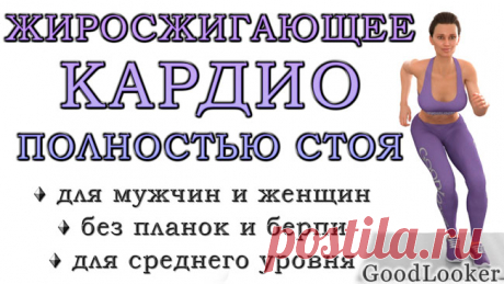 Жиросжигающая кардио-тренировка полностью стоя