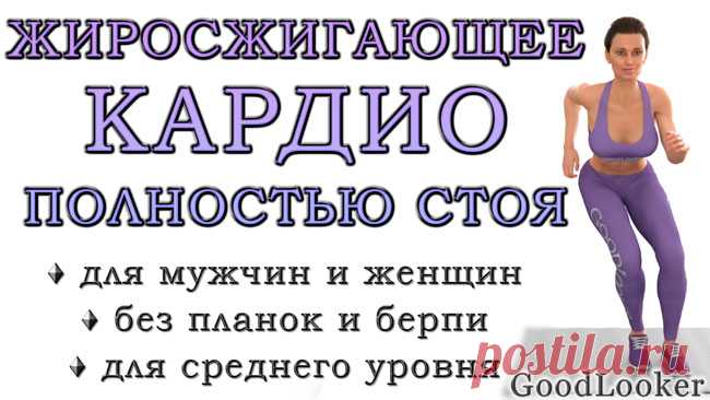 Жиросжигающая кардио-тренировка полностью стоя