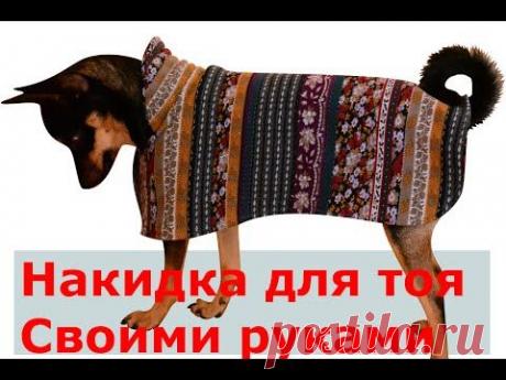 Теплая накидка или плащ для тоя своими руками