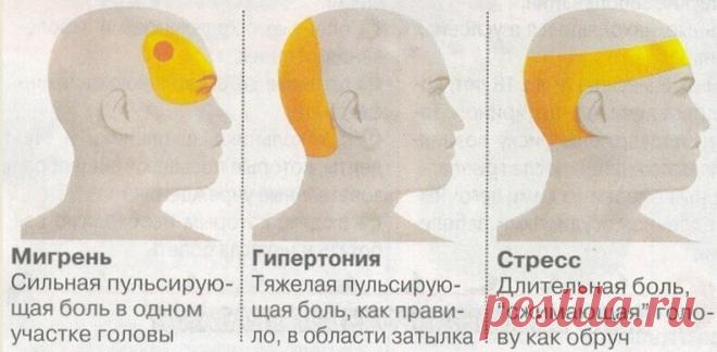 ДИАГНОСТИКА