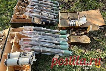 Полицейские нашли три тайника с боеприпасами в Херсонской области. В Херсонской области полицейские нашли три схрона с боеприпасами. Cотрудники МВД нашли один из тайников в водосточной трубе рядом с селом Любимо-Павловка. Они изъяли из него семь ящиков с патронами. Кроме того, недалеко от села Веселое в траве силовики нашли 12 противотанковых гранат.