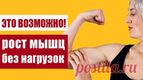 Рост мышц после 40 – это реально: комплекс статодинамических упражнений | Здоровьесберегающий канал | Дзен