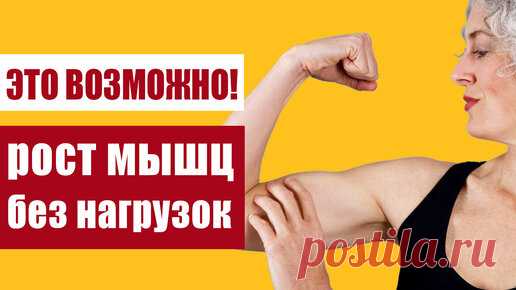 Рост мышц после 40 – это реально: комплекс статодинамических упражнений | Здоровьесберегающий канал | Дзен