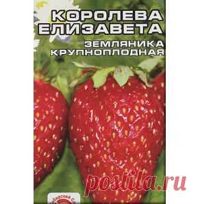 Сорт Королева Елизавета крупноплодная - gryadka58.ru