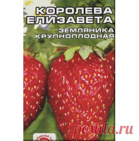 Сорт Королева Елизавета крупноплодная - gryadka58.ru