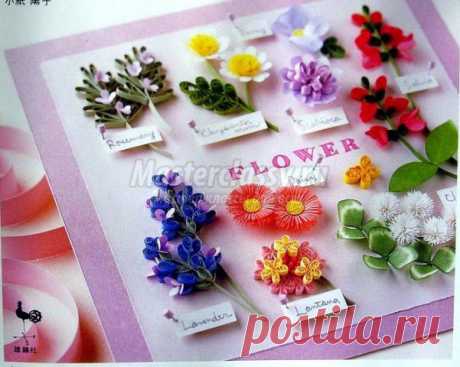système pour les débutants quilling