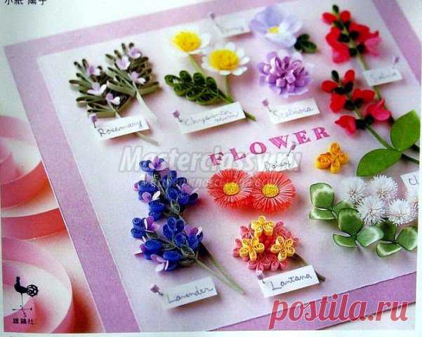 système pour les débutants quilling