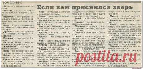 Если вам приснился зверь