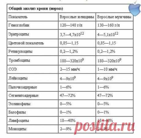 ОБЩИЙ АНАЛИЗ КРОВИ | Познавательный сайт ,,1000 мелочей&quot;