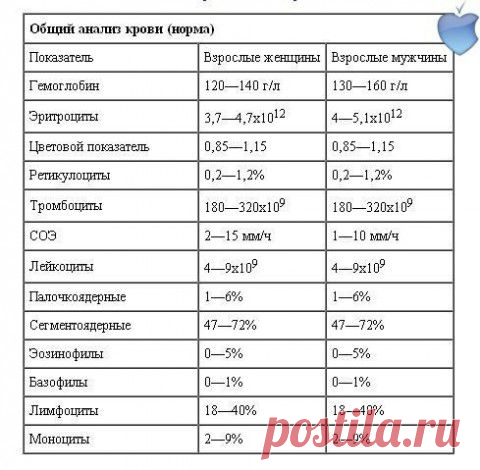 ОБЩИЙ АНАЛИЗ КРОВИ | Познавательный сайт ,,1000 мелочей"