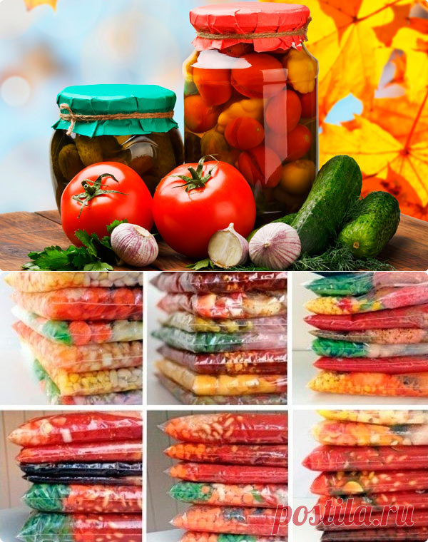 Что лучше: заморозка, засолка или сушка продуктов на зиму?