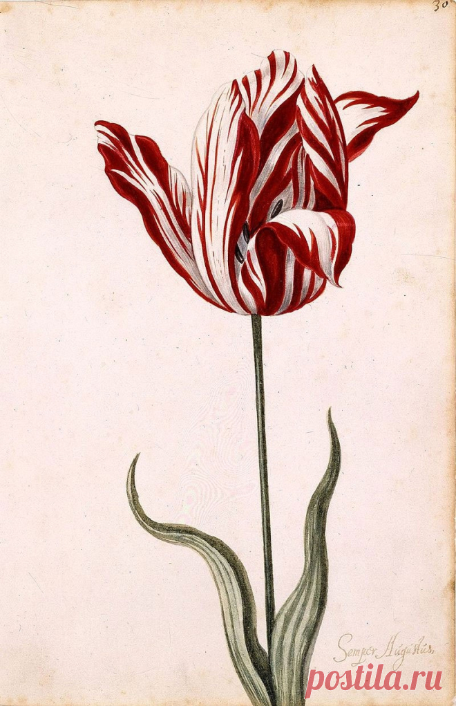 untitled.jpeg (800×1238)
