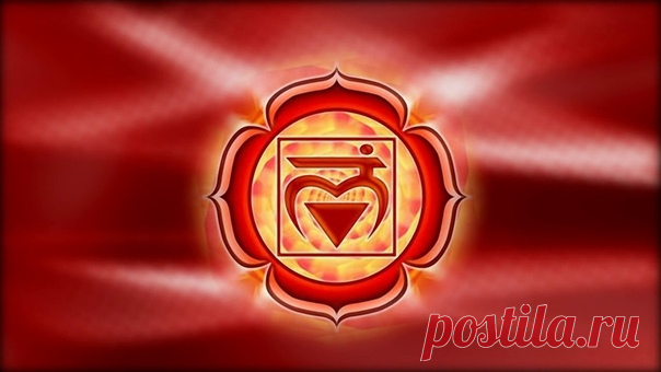 МУЛАДХАРА (КОРНЕВАЯ ЧАКРА)
-------------------------------------------------------------------------------------------------------------------------------
Муладхара чакра (корневая) или по-другому - первая 1-чакра - находится в основании позвоночного столба: 

у мужчин – в основании промежности (имеет анатомическую привязку к предстательной железе) 
Показать полностью…