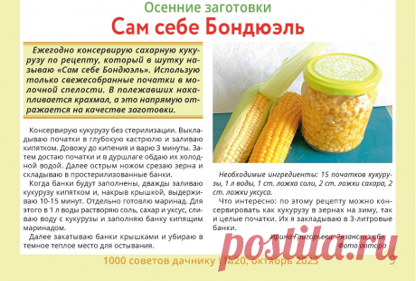 Рецепт из журнала &quot;1000 советов дачнику&quot; №20, 2023г., стр. 9