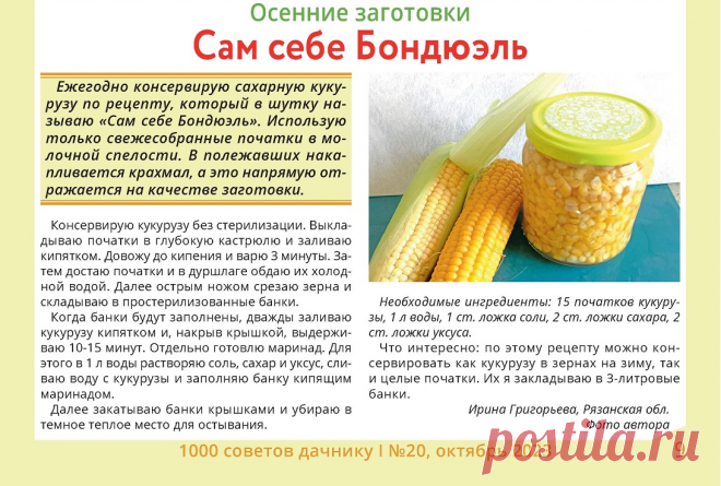 Рецепт из журнала "1000 советов дачнику" №20, 2023г., стр. 9