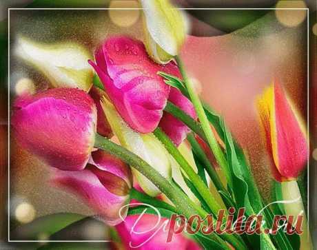 Зима грозит последней нам метелью, Но день 8 Марта к нам спешит, Пусть Солнце лед растопит, и капелью Весна, в права вступая, зазвенит. От зимней спячки пусть тебя разбудит, Наполнит сердце светом и теплом, Пусть хорошо все в твоей жизни будет, И счастье навсегда войдет в твой дом!