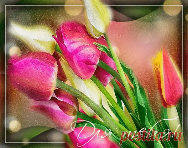 Зима грозит последней нам метелью, Но день 8 Марта к нам спешит, Пусть Солнце лед растопит, и капелью Весна, в права вступая, зазвенит. От зимней спячки пусть тебя разбудит, Наполнит сердце светом и теплом, Пусть хорошо все в твоей жизни будет, И счастье навсегда войдет в твой дом!