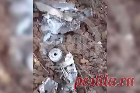 Появились подробности о сбитом под Саратовом беспилотнике. Беспилотный летательный аппарат, сбитый в поле в Калининском районе Саратовской области, нес на себе взрывное устройство с поражающими элементами. По данным Shot, дрон, подбитый недалеко от деревни Кленовые Вершины, был начинен металлическими шариками. Обломки беспилотника заметил рабочий местного сельхозпредприятия.