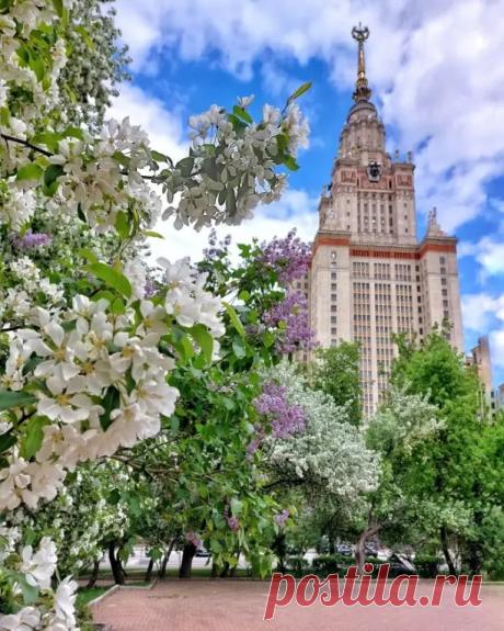 Московский государственный университет имени М.В.Ломоносова. Москва
