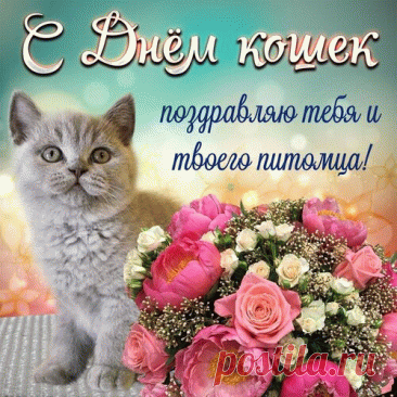 С Днём кошек поздравляю тебя и твоего питомца!