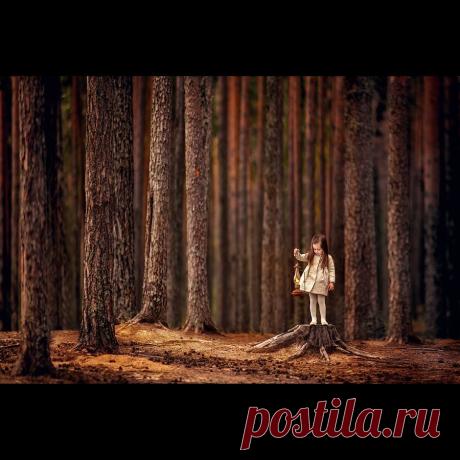 35PHOTO - Ирина - В тёмном лесу.