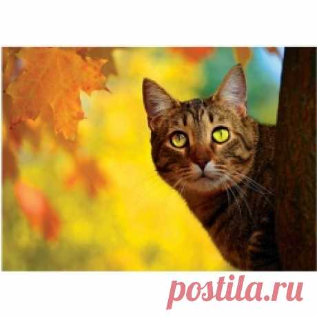 Мозаика из страз (Алмазная мозаика/живопись) - Каталог