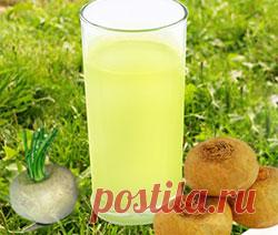 Репа огородная полезные свойства, фото трава. Польза и вред сок, отвар плод