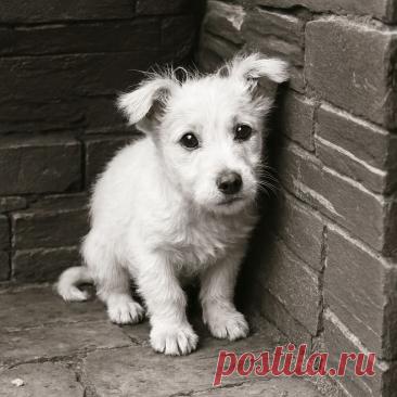 Мы возвращаемся домой - Готовим так!