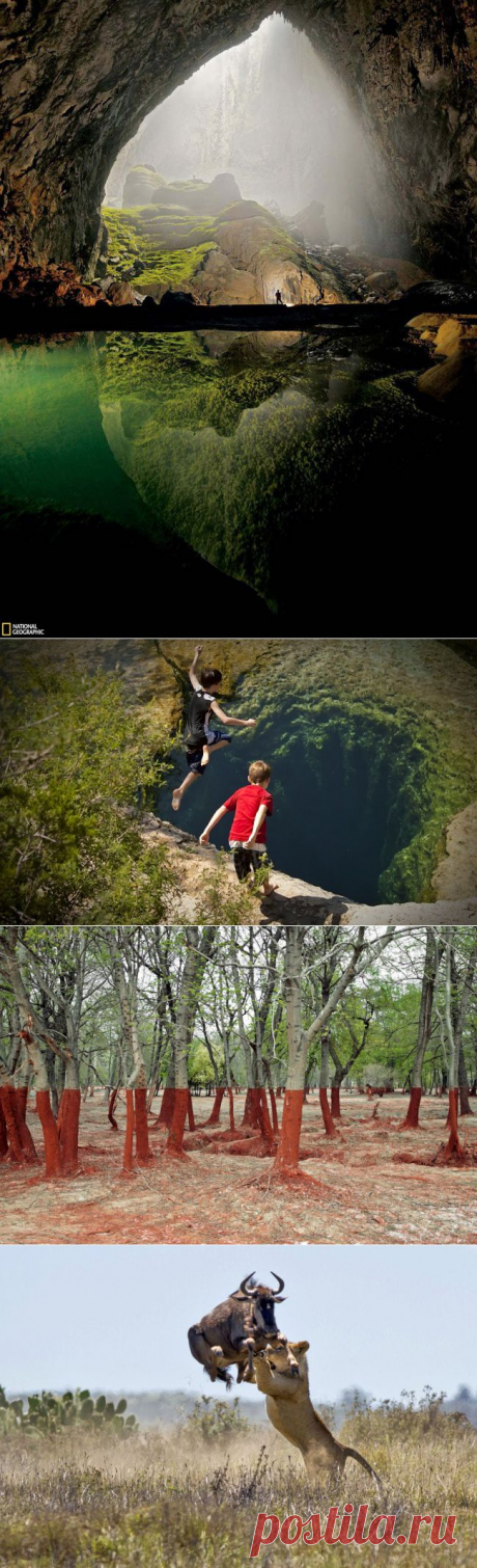 Творческие фотографии - и это точно не Фотошоп.