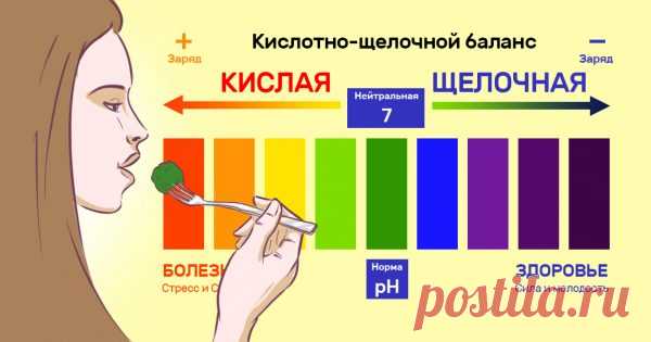 23 продукта с высоким содержанием щелочи. Повесил список на холодильник!