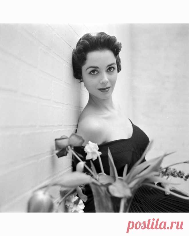 Dana Winters 1954

Actress

© Gordon Parks
