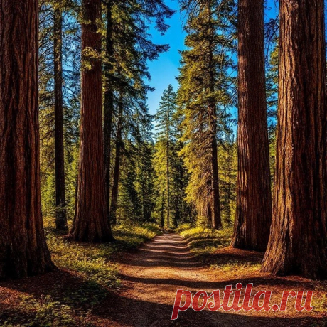 [тест] Выбери тропу и узнай, что тебя больше всего пугает — Тесты | Страх осуждения