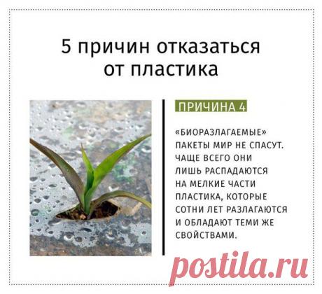 старайтесь постепенно уменьшать использование пластиковых пакетов и бутылок.