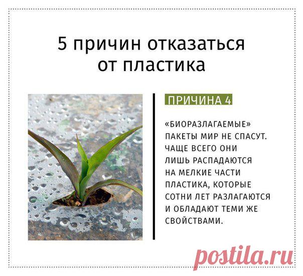 старайтесь постепенно уменьшать использование пластиковых пакетов и бутылок.
