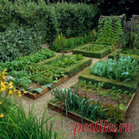 Проверенные схемы посадки, которые позволяют получить с одной грядки аж 4 урожая!