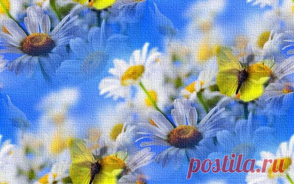 Яндекс.Фотки