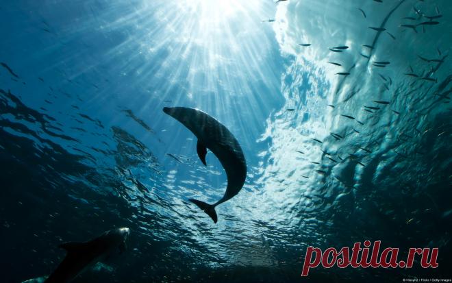 4cee3e54-7fa6-4665-a65e-79087a111197_4.jpg (1920×1200)