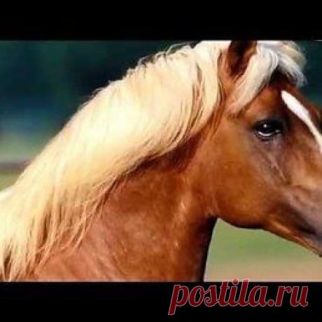 Интересные новости