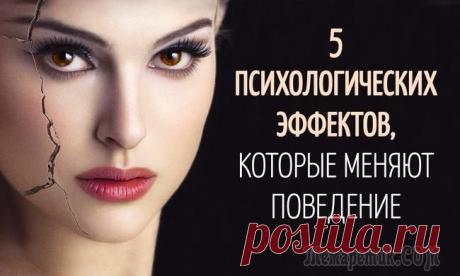 5 мощных психологических эффектов, которые меняют наше поведение