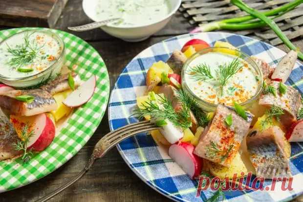 Картофельный салат с сельдью и свежим огурцом - Будет вкусно - Медиаплатформа МирТесен