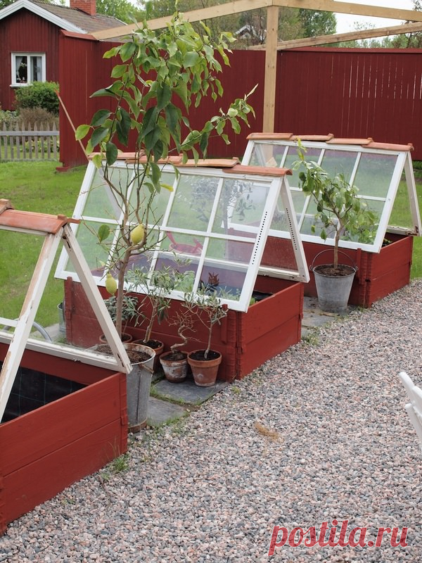 Greenhouses from Repurposed Windows • 1001 Gardens