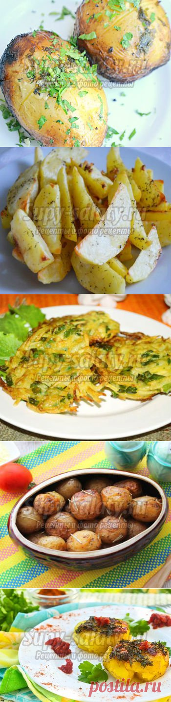 Очень вкусные рецепты с картошкой. ТОП - 20 лучших. Выпуск 289