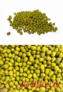 Маш купить в Москве | Шеф Орех - интернет-магазин орехов и сухофруктов.