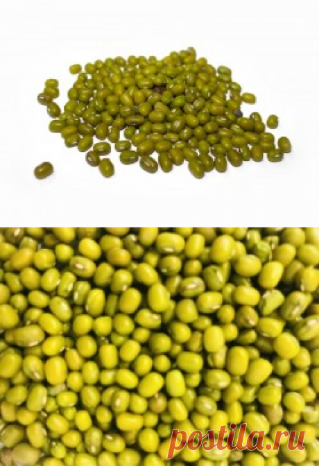 Маш купить в Москве | Шеф Орех - интернет-магазин орехов и сухофруктов.